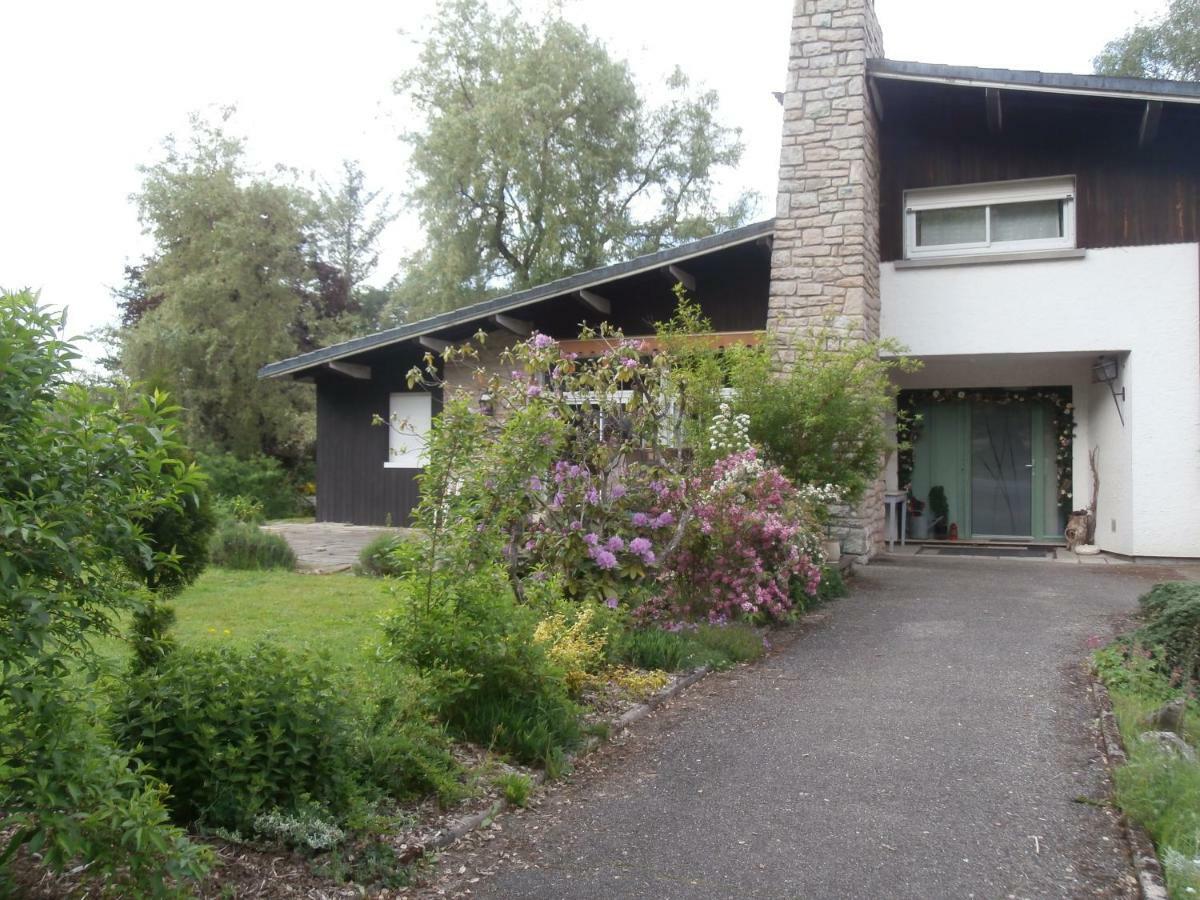L'Echappee Belle A L'Etang D'Anty -Appartement Saint-Nabord Exteriör bild